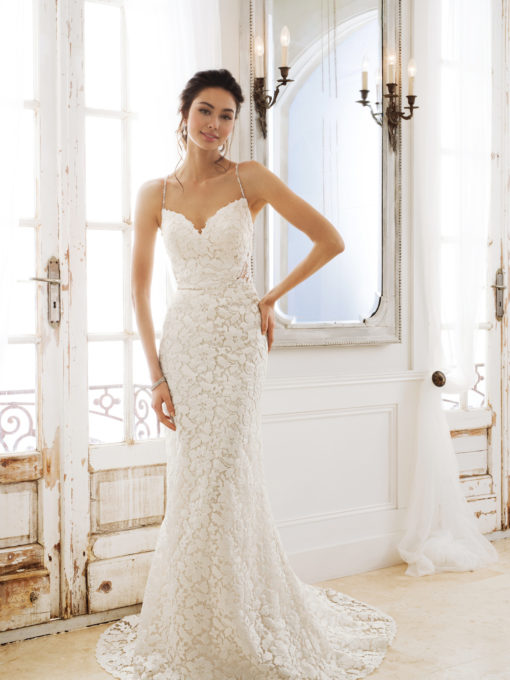 Mon-Cheri-Sophia-Tolli-Y11890-Venetti