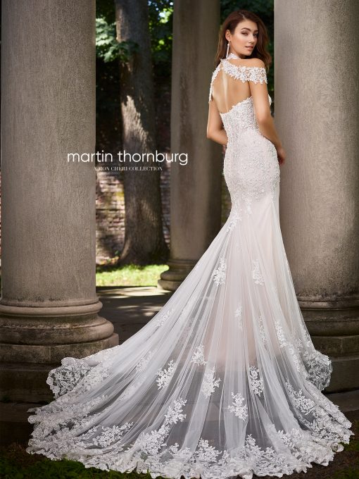 119251-back